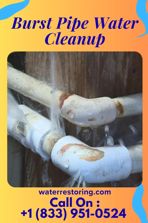 Burst Pipe Water Cleanup in Greybull, WY