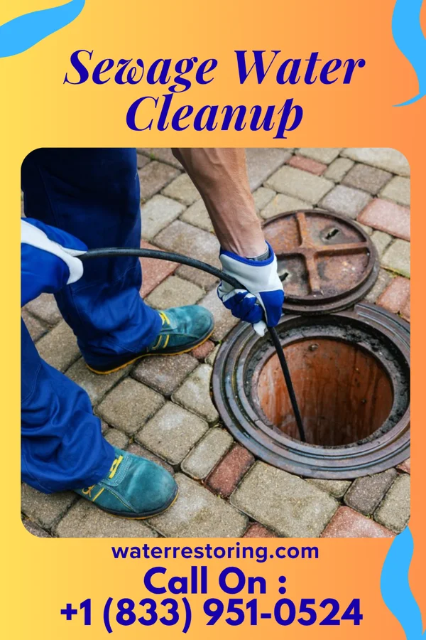 Sewage Water Cleanup in Greybull, WY