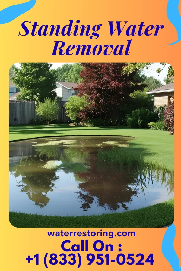 Standing Water Removal in Greybull, WY